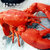 海洋世家 波士顿龙虾熟冻海鲜水产单只装 500-600g第4张高清大图
